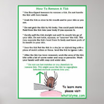 Wie man ein Tick Educational Poster entfernt