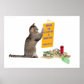 Wie man eine Maus fängt Poster