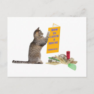 Wie man eine Maus fängt Postkarte