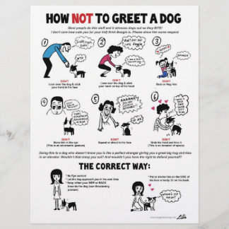 Wie man einen Hund nicht grüßt - 8,5" x 11" Flyer