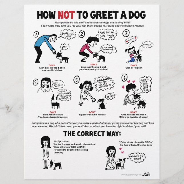Wie man einen Hund nicht grüßt - 8,5" x 11" Flyer (Vorne)