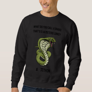Wie nennt man eine Schlange Thatu2019s 3 14 Meter Sweatshirt