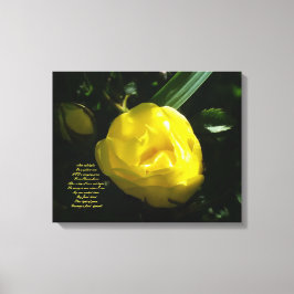 Wie sanftes Licht auf der Gelben Rose Leinwanddruck