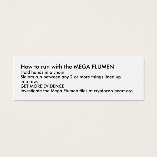 Wie Sie mit dem MEGA FLUMEN laufen können (Vorderseite)