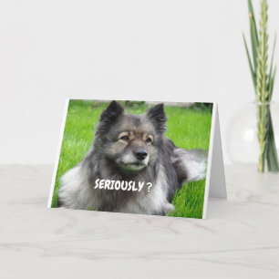 WIE SIEHST DU SO JUNG AUS ZWILLING SAGT CUTIE PUP KARTE