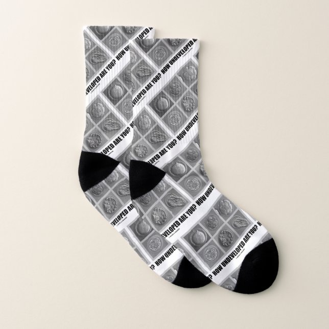 Wie unentwickelt bist du? Embryos Zygotes Socken (Paar)