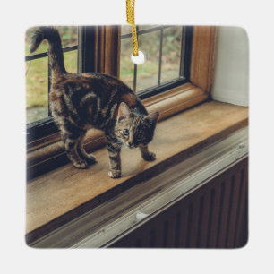 Wie viel kostet das Kitty im Fenster? Keramikornament