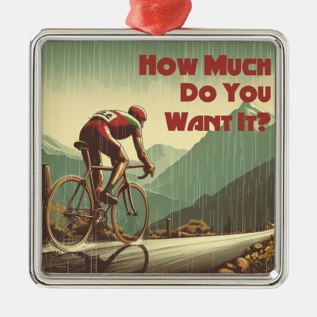 Wie viel Will du, es zu radfahren? Ornament Aus Metall (Vorne)
