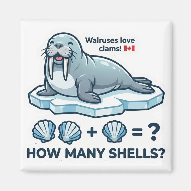 Wie viele Muscheln? – Walross-Math-Learning-Magnet Magnet (Vorne)
