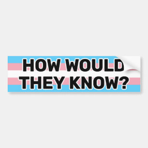 Wie würden sie die schwarze Trans Pride-Flagge lus Autoaufkleber
