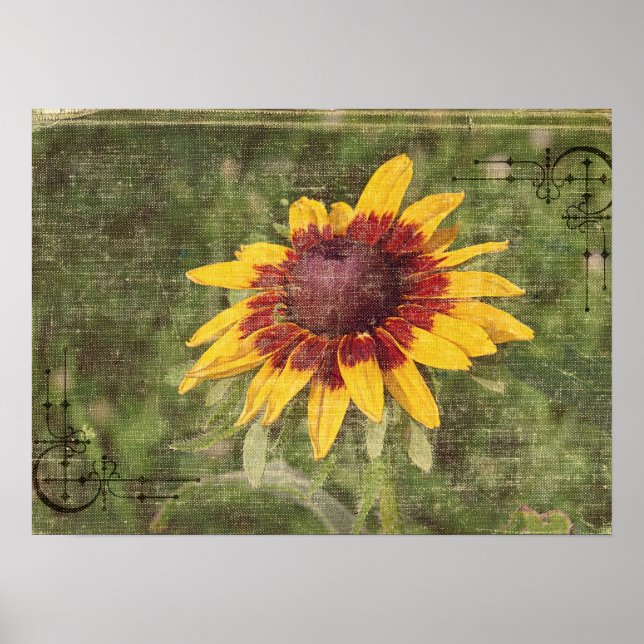 Wieder eine Blume Poster (Vorne)