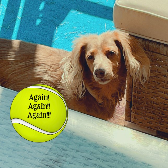 Wieder einmal Hunde Mama Funny Tennisbälle (My dog loves chasing tennis balls!)