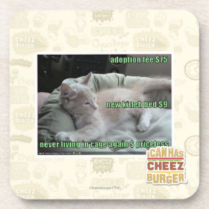 Wieder lebend nie, in einem Käfig Getränkeuntersetzer