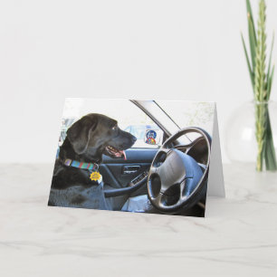 Wieder unterwegs karte