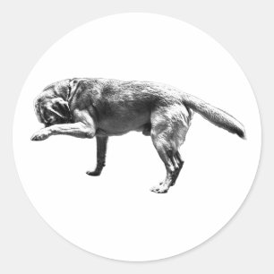 Wiedergabe von Paw Print Runder Aufkleber