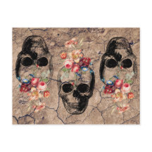 Wiedergeburt - Blüten aus Staub