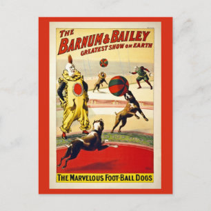 Wiederhergestellt, Barnum und Bailey, Hunde, Fußba Postkarte