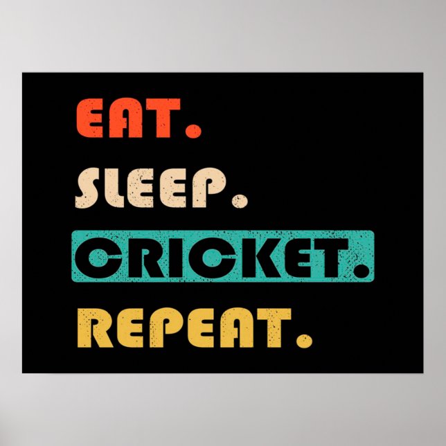 Wiederholen Sie den Schlaf-Cricket Poster (Vorne)