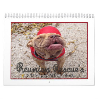 Wiedersehen-Rettungs-Gesang-Gruben-Stiere 2013 Kalender