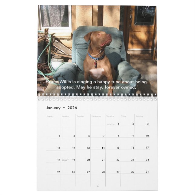 Wiedersehen-Rettungs-Gesang-Gruben-Stiere 2013 Kalender (Jan 2026)