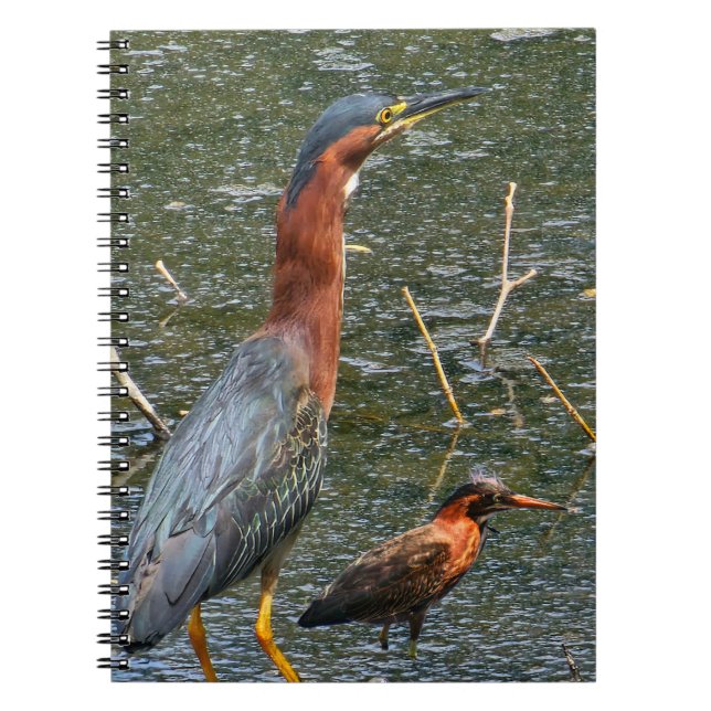 Wiederverwendbare Einkaufstasche Grüner Reiher Notizblock (Vorderseite)
