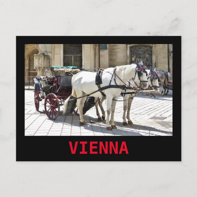 Wiener Fiaker mit weißen Pferden - Postkarte (Vorderseite)