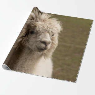 WIENNA WIEN ÖSTERREICH AUSTRIA ALPAKA LAMA ANIMAL GESCHENKPAPIER