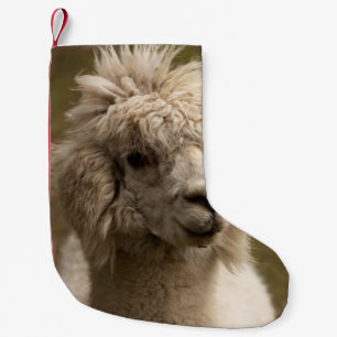 WIENNA WIEN ÖSTERREICH AUSTRIA ALPAKA LAMA ANIMAL KLEINER WEIHNACHTSSTRUMPF