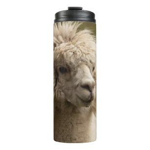 WIENNA WIEN ÖSTERREICH AUSTRIA ALPAKA LAMA ANIMAL THERMOSBECHER