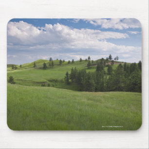 Wiese im Custer Staats-Park Mousepad