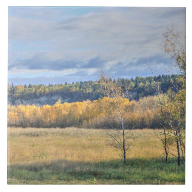 Wiese mit Aspens Fliese (Vorderseite)