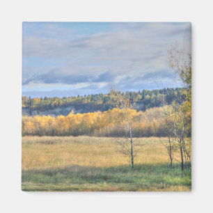 Wiese mit Aspens Magnet