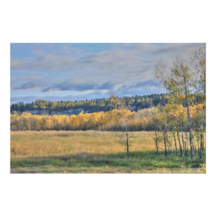 Wiese mit Aspens Poster