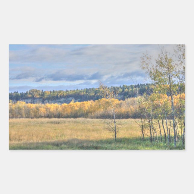 Wiese mit Aspens Rechteckiger Aufkleber (Vorderseite)