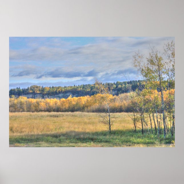 Wiese mit Espen Poster (Vorne)