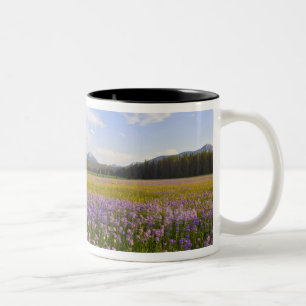 Wiese mit Penstemon-Wildblumen in der 2 Zweifarbige Tasse