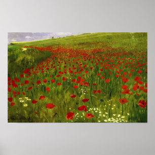 Wiese mit Poppies (1896) Merse Pál Szinyei Poster