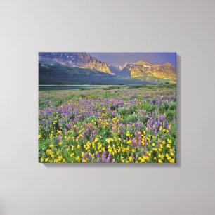 Wiese mit Wildblumen im Many Glacier Leinwanddruck