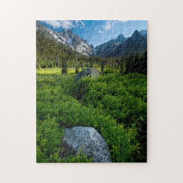 Wiese und Mt. Stuart (Vertikal)