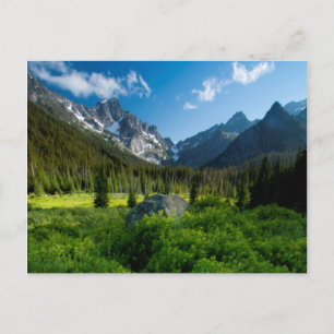 Wiese und Mt. Stuart Postkarte