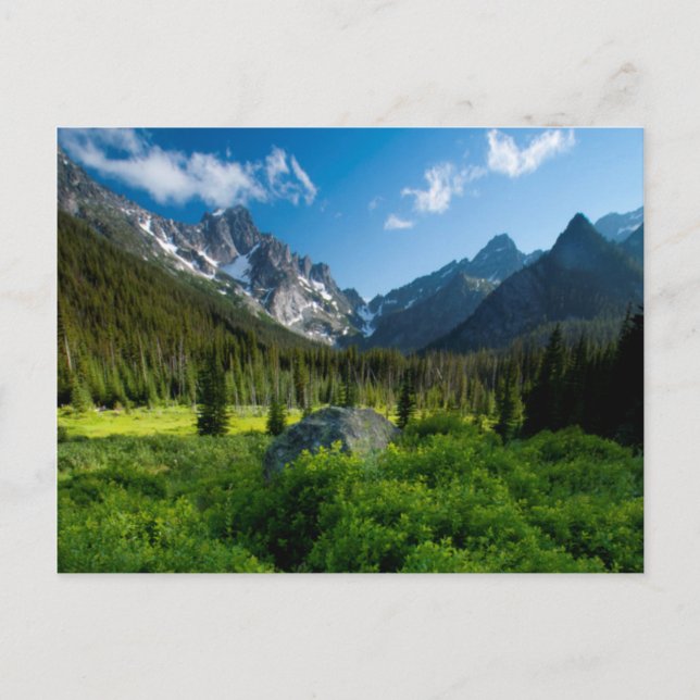 Wiese und Mt. Stuart Postkarte (Vorderseite)