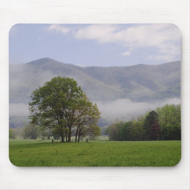 Wiese und Riesengebirge, Höhlenbucht, Mousepad (Vorne)