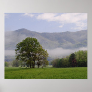 Wiese und Riesengebirge, Höhlenbucht, Poster