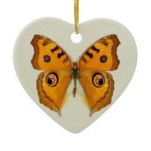 Wiesen-Argus-Schmetterling