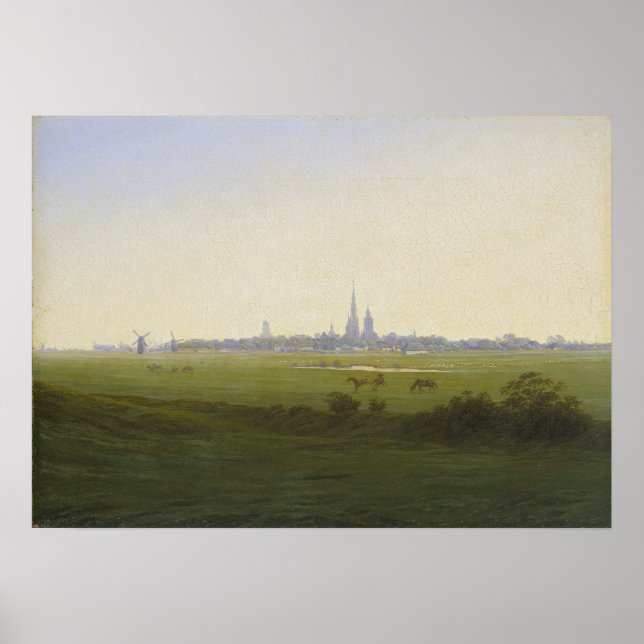 Wiesen bei Greifswald Poster (Vorne)