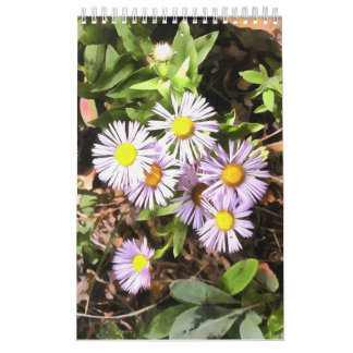 Wiesen im blühenden 1-Jahres-Kalender Kalender