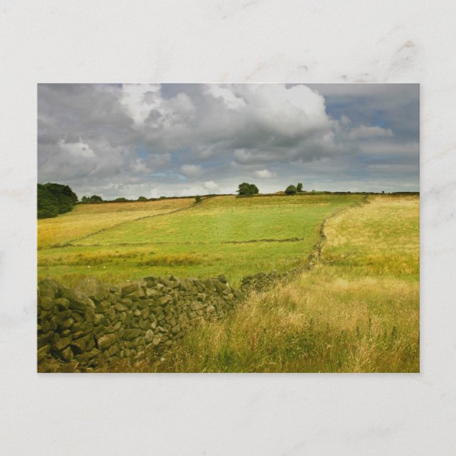 Wiesen und Mauern Postkarte (Vorderseite)