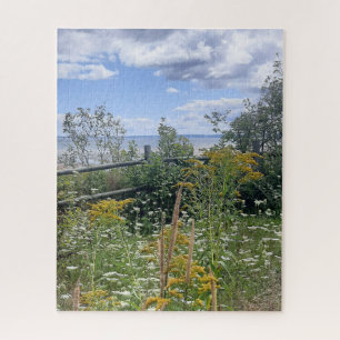Wiesenblick mit Sommerblumen