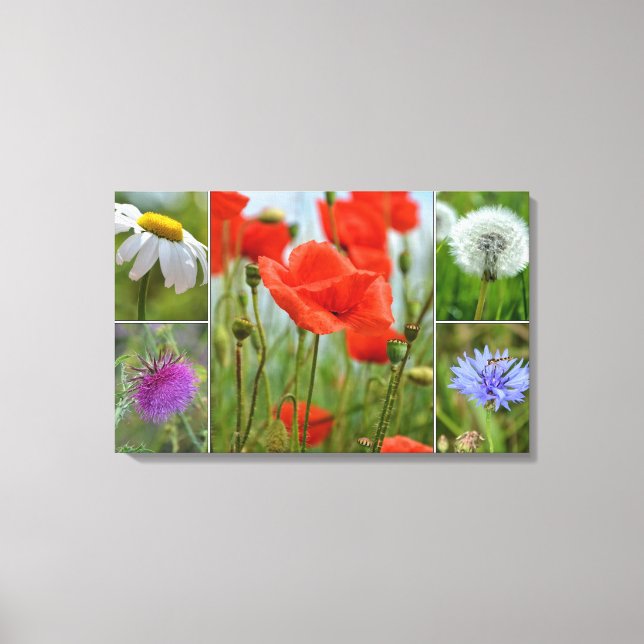 Wiesenblumen Leinwanddruck (Vorderseite)