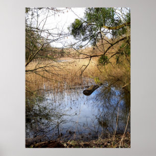 Wiesenlandschaft Natur Poster